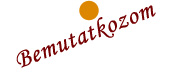 Bemutatkozom